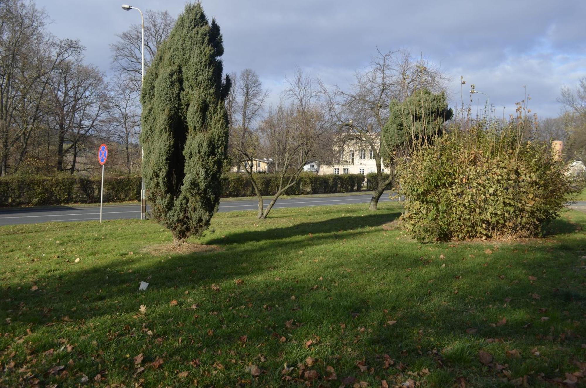 Dom Otwarty Apartment Jelenia Gora Exterior photo